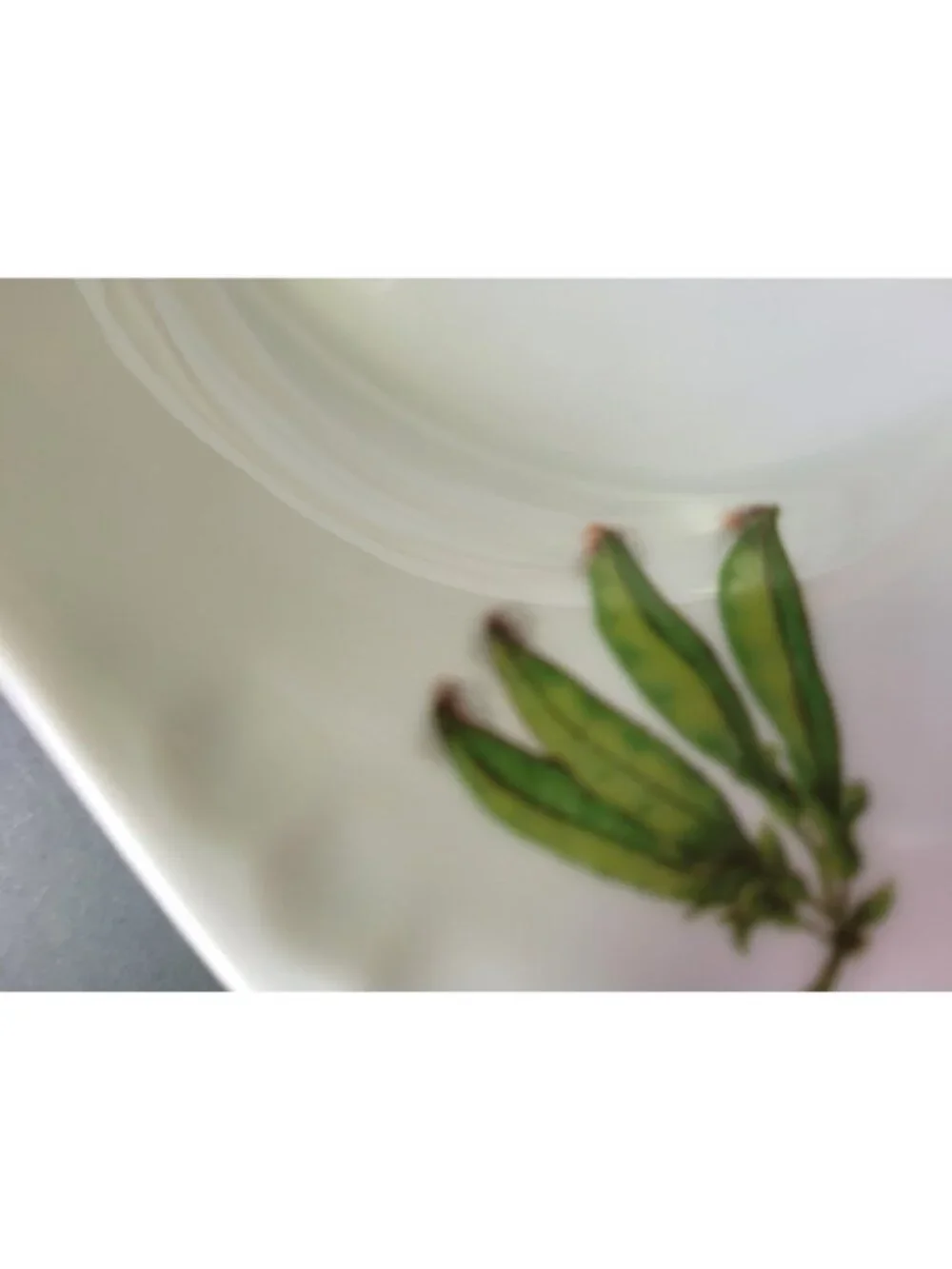 France Oval Eared Au Gratin Baking‎ Dish 13